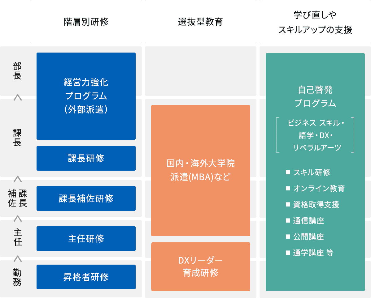 研修体制プログラム